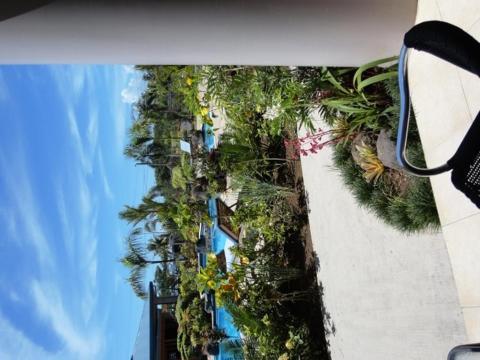 Amanaki Hotel Apia Chambre photo